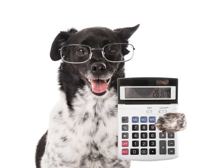 Accountant Dog With Calculator