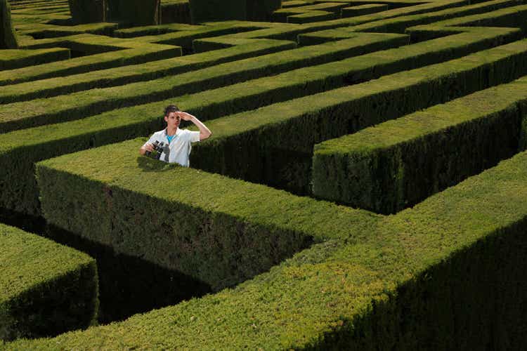 Young man lost in hedge maze