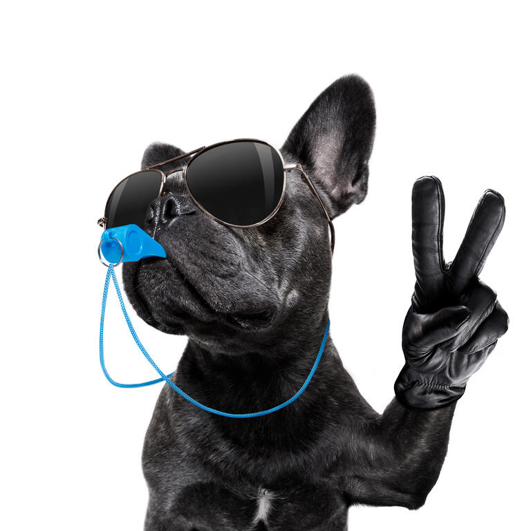 February Top Dividend Aristocrats: Flag 4 As Buys