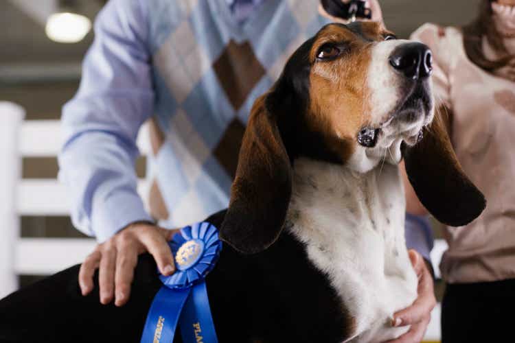 Couple with dog at a dog show