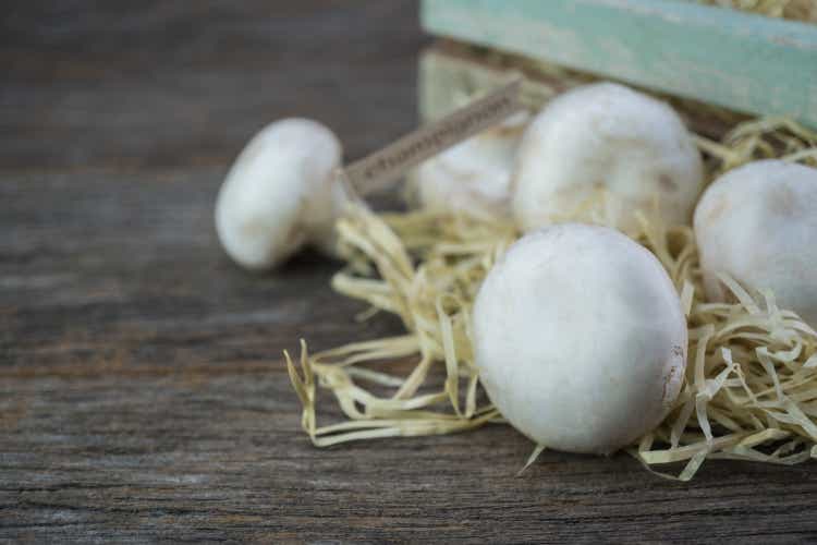 Fresh organic champignon mushrooms on wood background