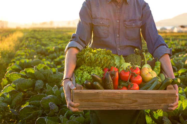 Man holding crate ob fresh vegetables