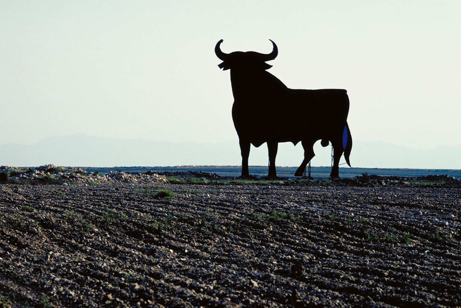ADMA Biologics: Longstanding Bull Hits The Reset Button After Murky Q1 Earnings thumbnail