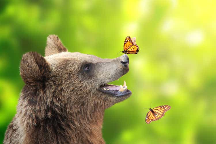 Cheerful brown bear with butterfly sitting on his nose