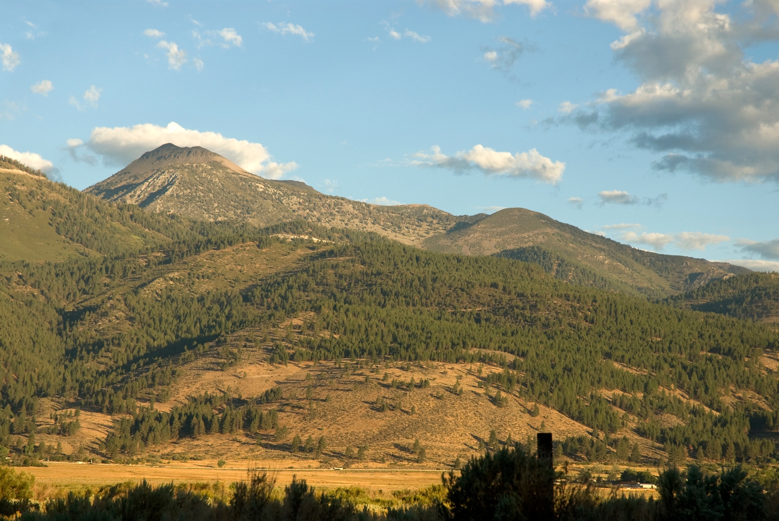 BSV: Balanced Treasuries + IG Credit In The Sweet Spot Of The Curve (NYSEARCA:BSV)