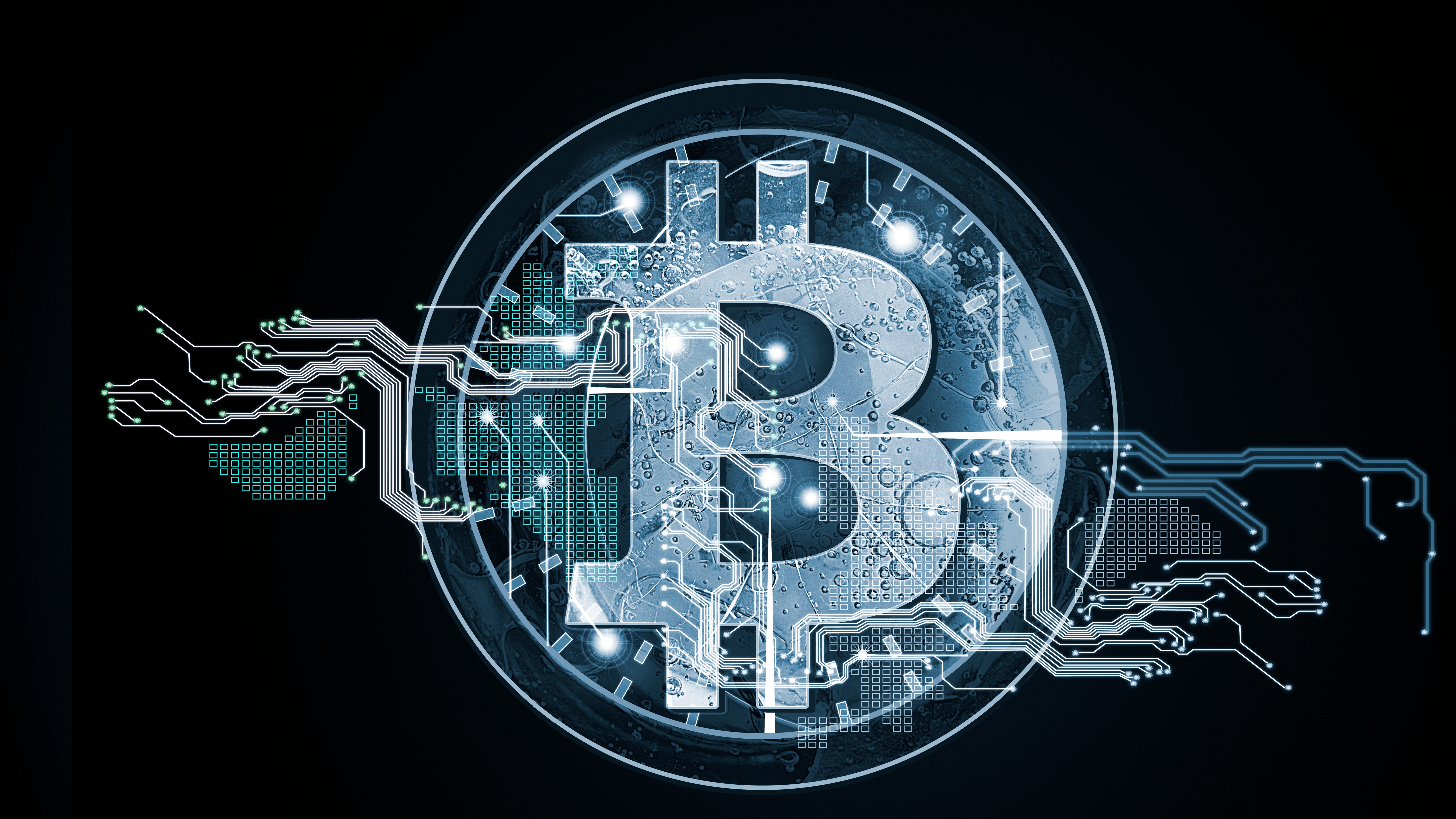 HIVE Digital: Resilient Miner, But Expect Short-Term Volatility (Rating  Downgrade) | Seeking Alpha