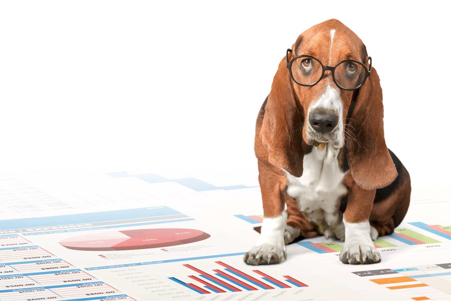 Buffett's May DiviDogs Tag Ally As A "Safer" Buy