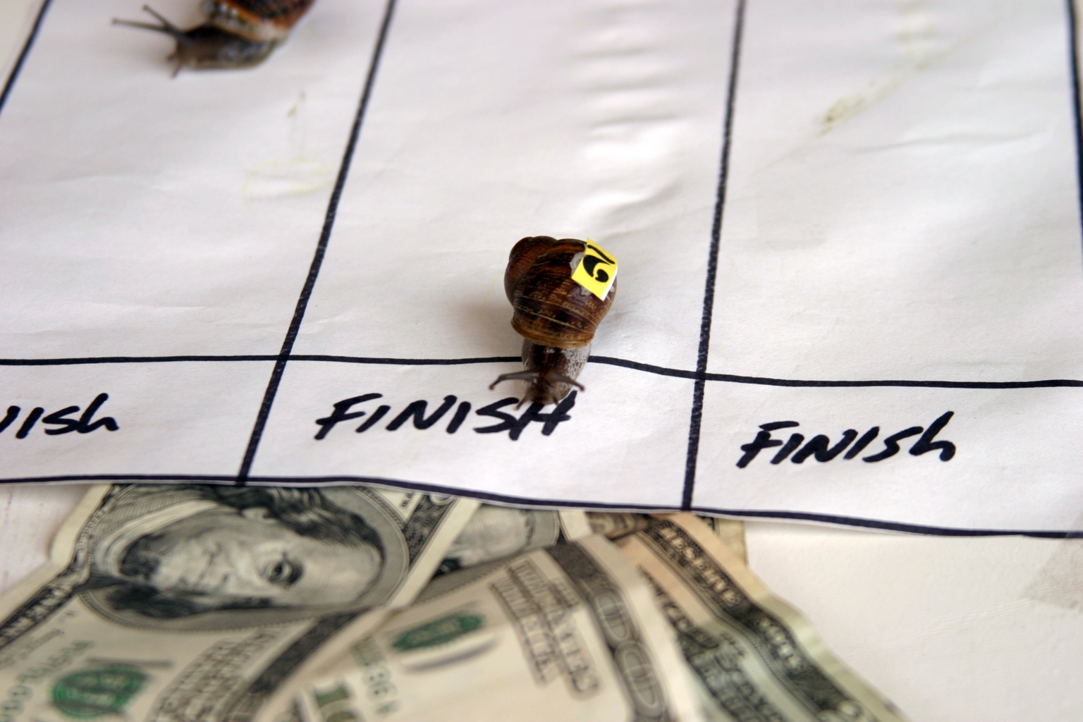 Madrigal: I Can't Bet Against A Company Performing This Well (Upgrade)