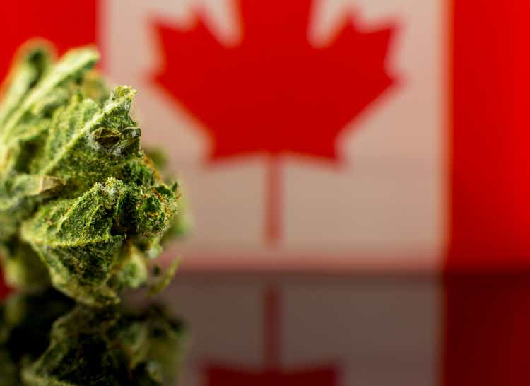 canopy-growth-tilray-other-canadian-cannabis-names-up-amid-wallstreetbets-chatter