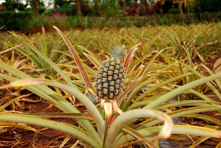 pineapple