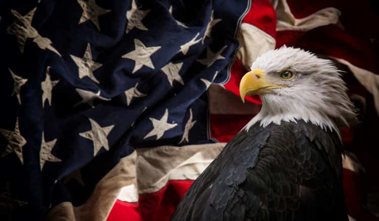 American Bald Eagle with Flag