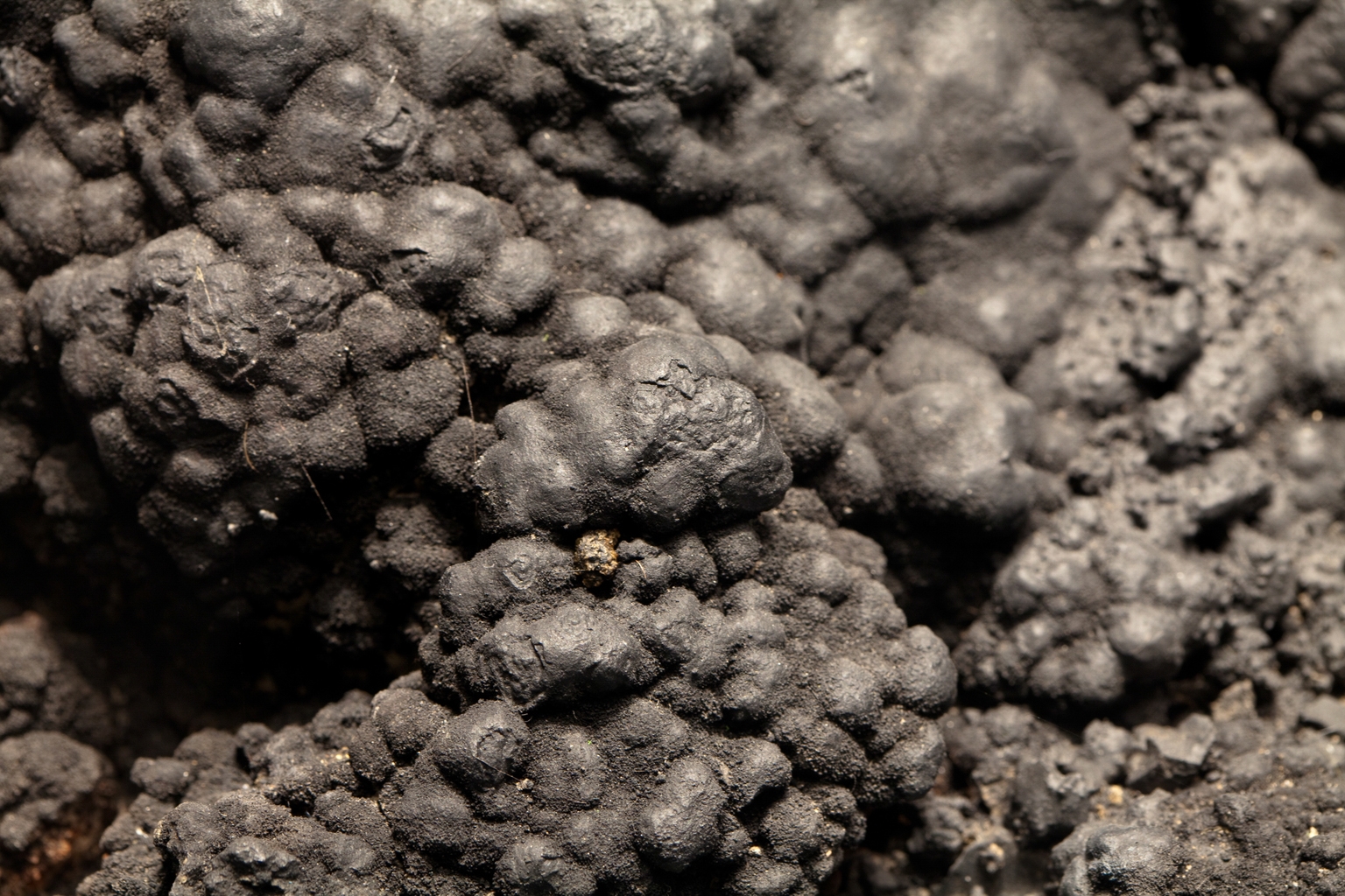 TMC the metals company Stock: Fully Valued At Present I Think (NASDAQ:TMC)