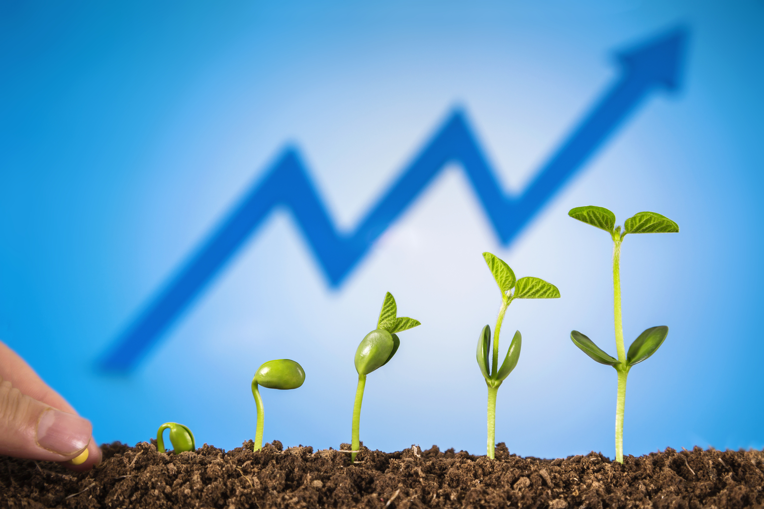 seekingalpha.com - Driehaus Capital Management - Driehaus Micro Cap Growth Strategy Q2 2026 Commentary