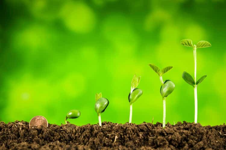 zakelijke investeringen: plant groeit op groene achtergrond