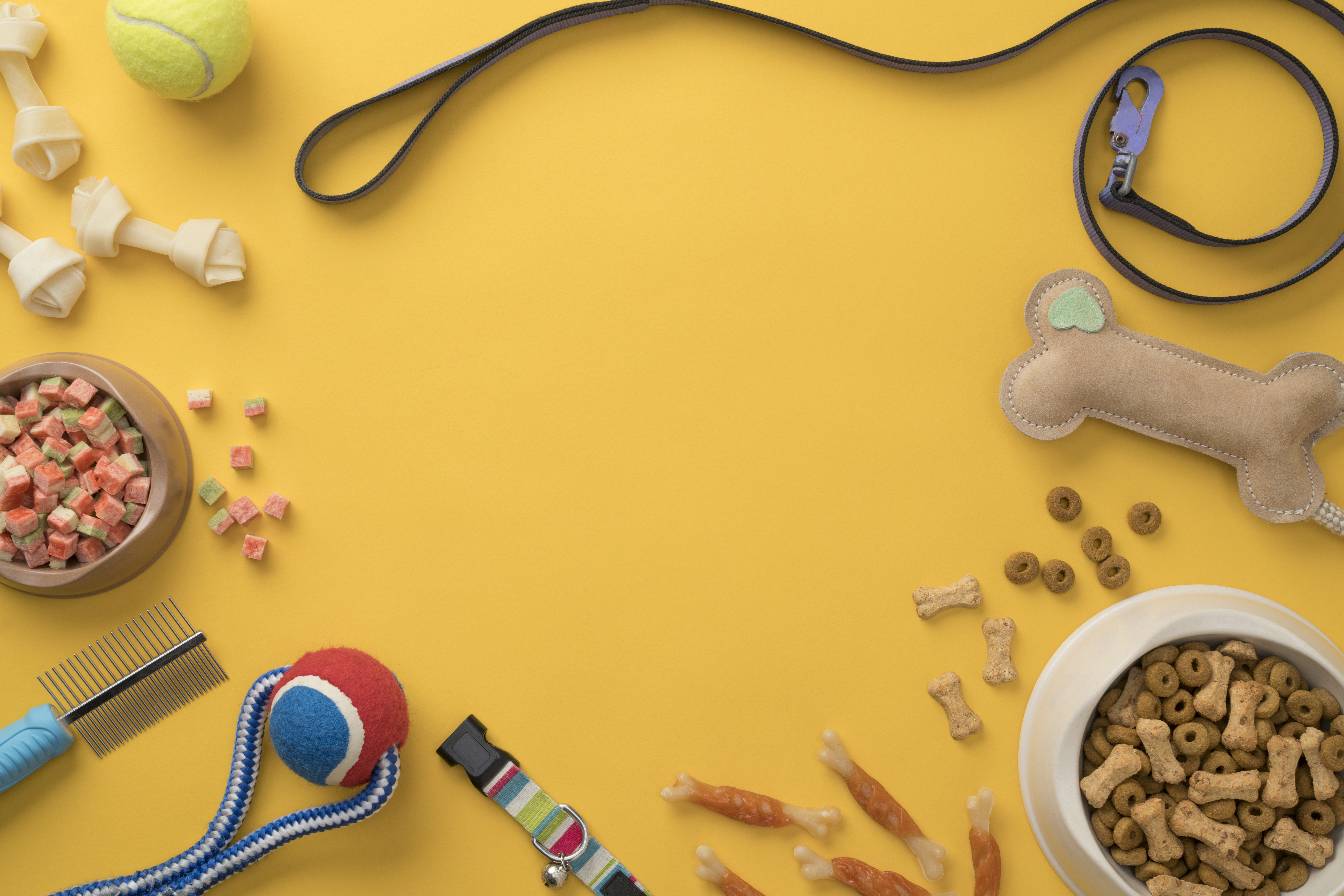 chewy private label brands