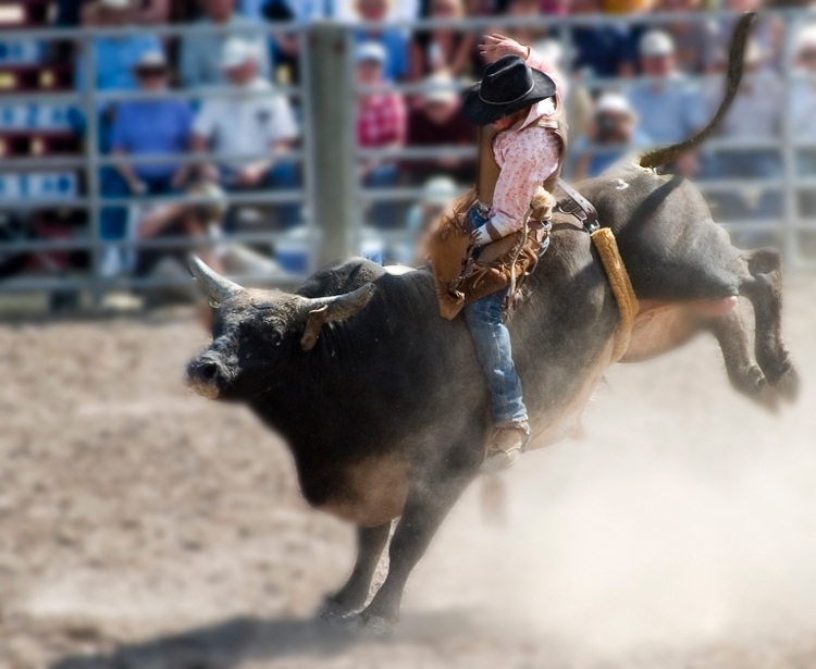 Who says cowboys can"t wear pink?