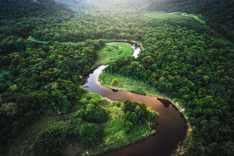 Mata Atlantica - Atlantic Forest in Brazil