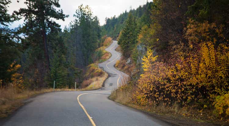 Long and Winding Road in Autumn