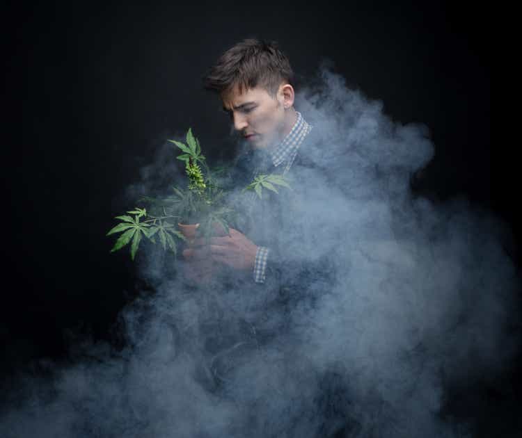 Well dressed businessman marijuana plant in dense smoke