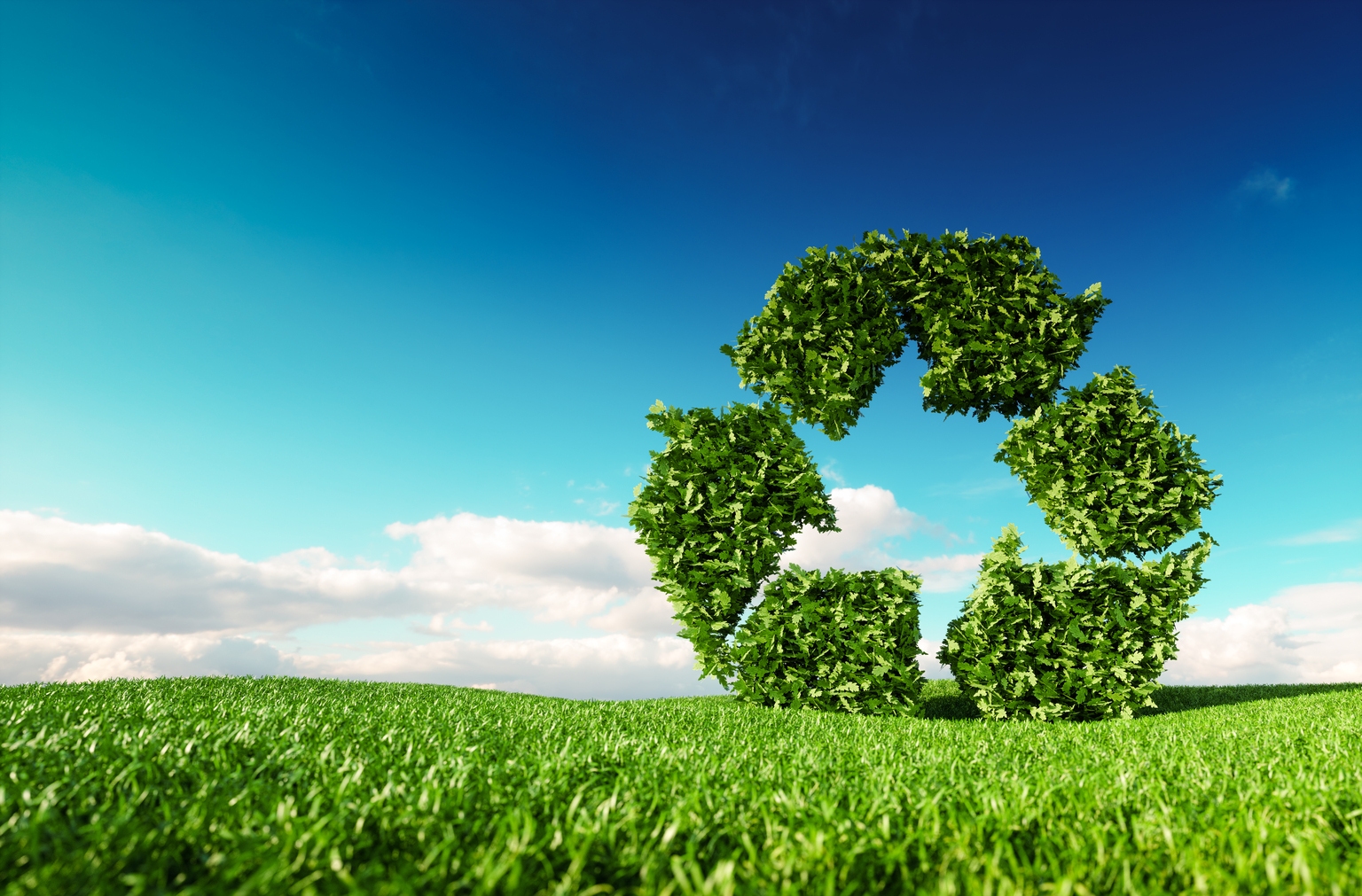 Trash To Cash: Waste Management – Dividends Done Right (NYSE:WM)
