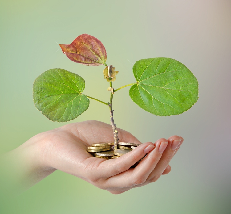 Star Royalties: A Precious Metals R&S Company Turned Green (OTCMKTS:STRFF) - Vimarsana News