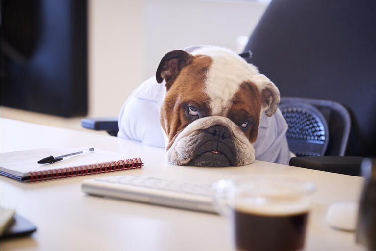 3 Buyable Dogs Bolster Buffett's October Dividend Holdings