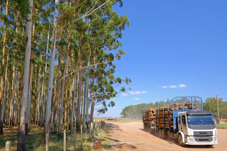 Logging truck loaded with eucalyptus logs for paper or timber industry, Uruguay, South America