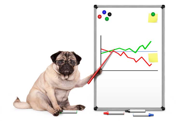 serious business pug puppy dog sitting down, pointing at white board with chart, yellow notes and magnets