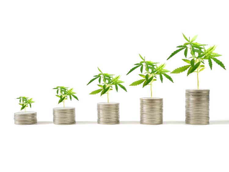 Marijuana plants growing on stacks of coins