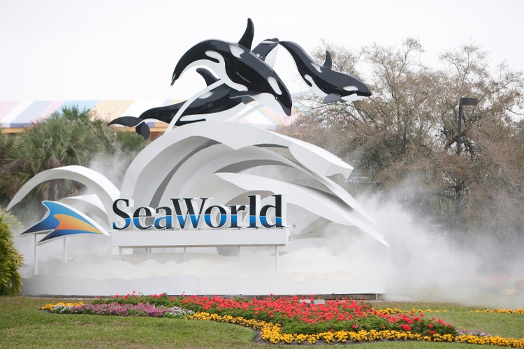 Killer whale kills trainer before SeaWorld show