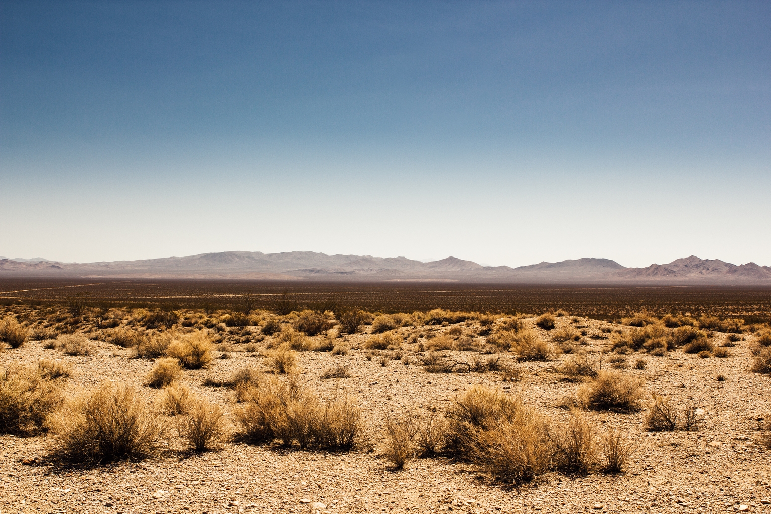 LandBridge & Texas Pacific Land: The Picks-And-Shovels Of The West Texas AI Boom | Seeking Alpha