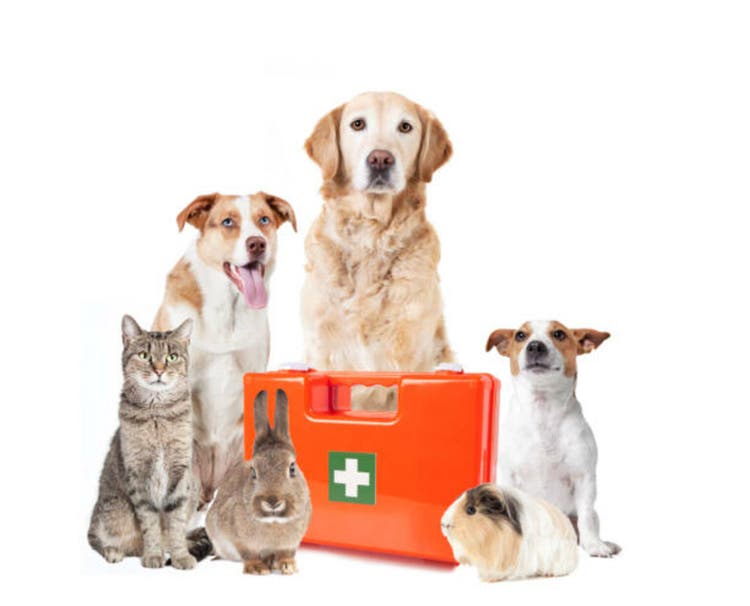 various pets medical case