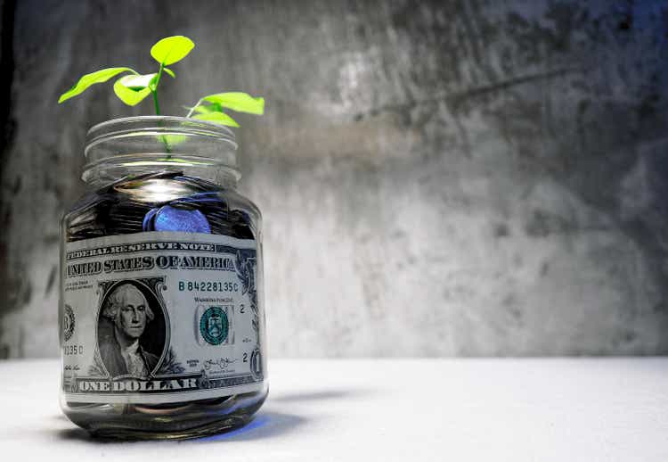 Plant groeit in munten glazen pot geld besparen en investeringen financiële concept