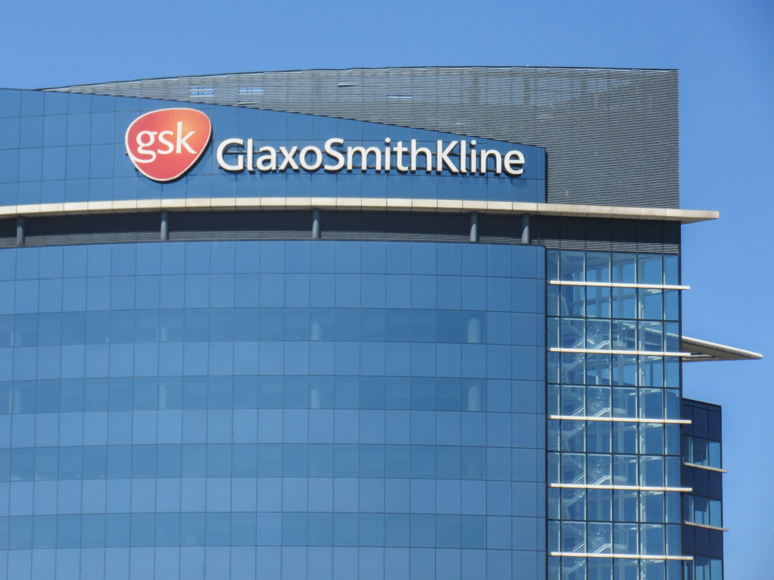 FDA Panel To Review GSK Zejula s Overall Survival Data In Recurrent Ovarian Cancer Seeking Alpha