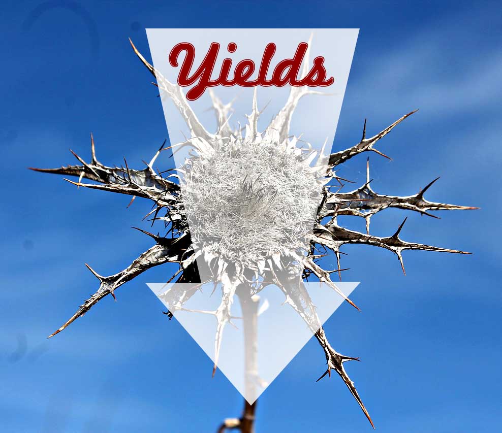 Lockheed Martin Pull The Ripcord Lockheed Martin (NYSELMT