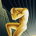 meridian6 profile picture
