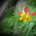 closeups profile picture