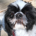 scoots profile picture
