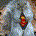 astute pathways profile picture