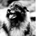 Gwhitebeard profile picture