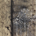 Sentinel Brit profile picture