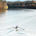 Verbum Sap Sat profile picture