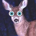 bambi1 profile picture
