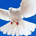 PearlGreatPrice profile picture