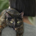 coelacanth10 profile picture