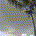 marpy profile picture