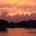 Fortunate One profile picture