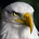 Renegade Investment Research profile picture