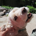 wsattler profile picture
