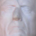 Vandooman profile picture